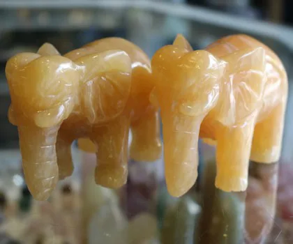 Voi hoàng long nhỏ FHM130