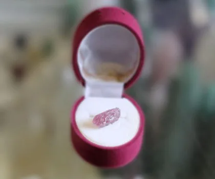 Mặt Tỳ Hưu Ruby (1.52gr) FS6287-F1-245