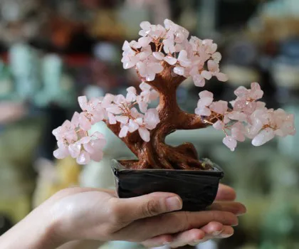 Cây tài lộc gốc đẹp thạch anh vàng KC076